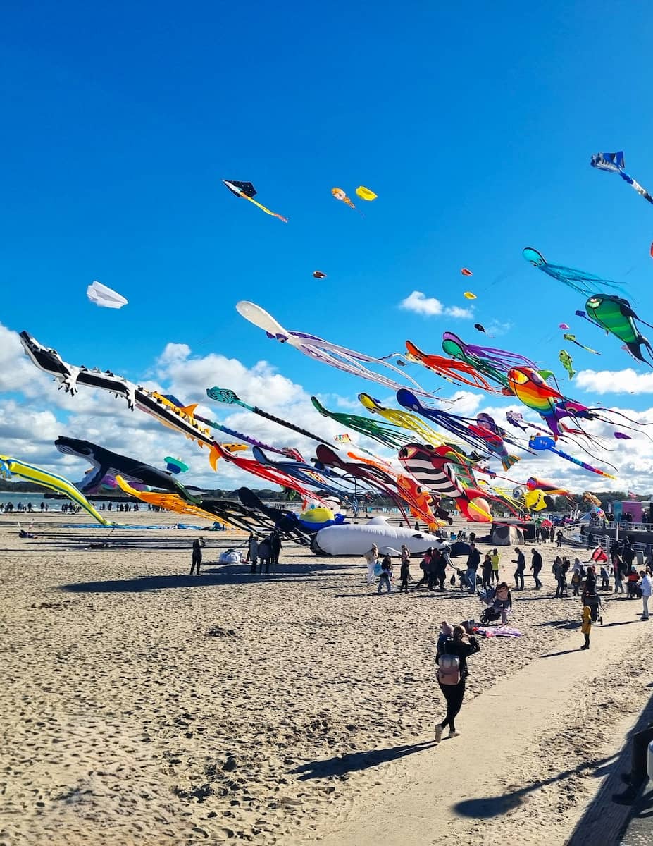 Kite flying, Beach Travemünde Beach, Lübeck
