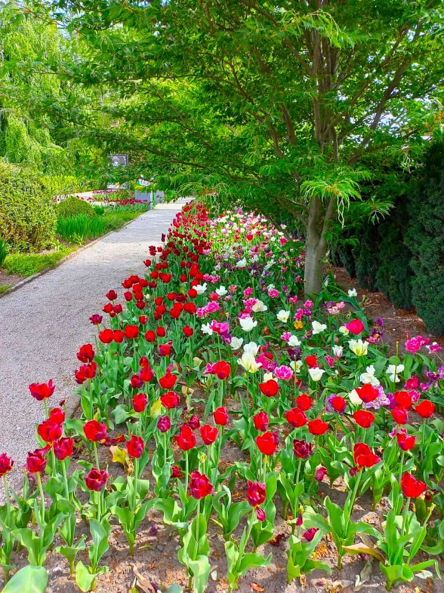 University Botanical Garden, Passau