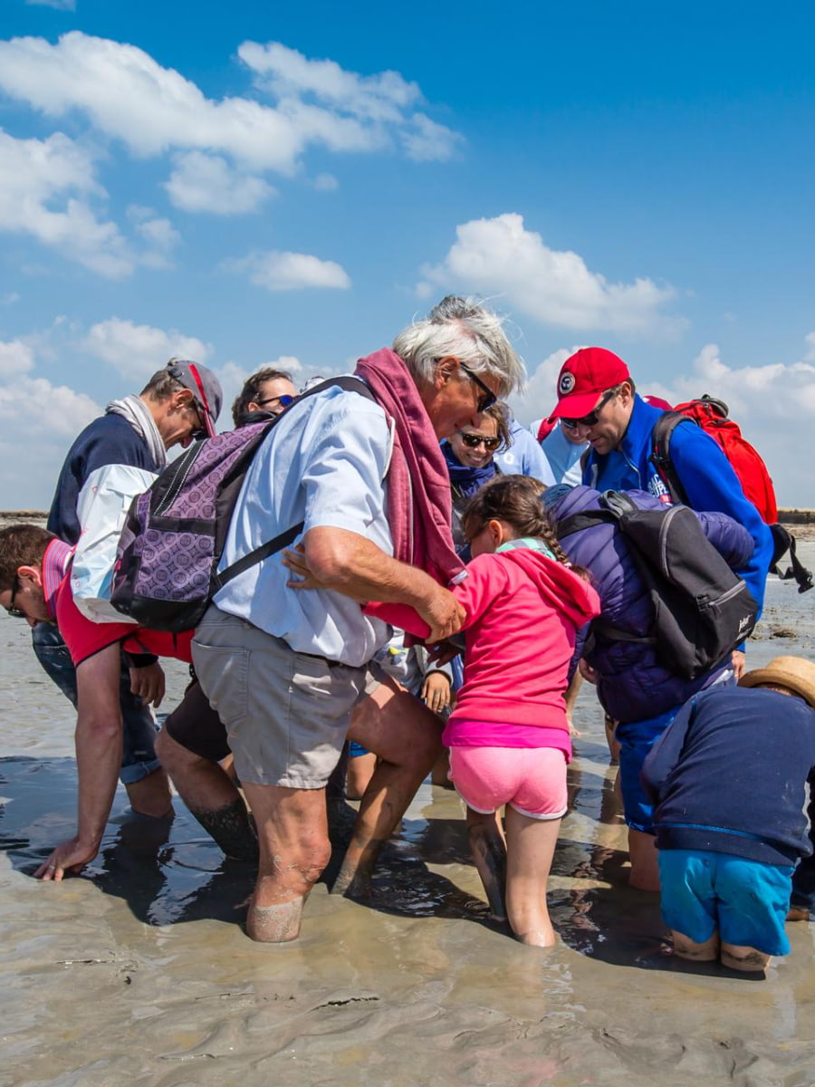 Ways of the Bay of Mont Saint-Michel Ways of the Bay of Mont Saint-Michel
