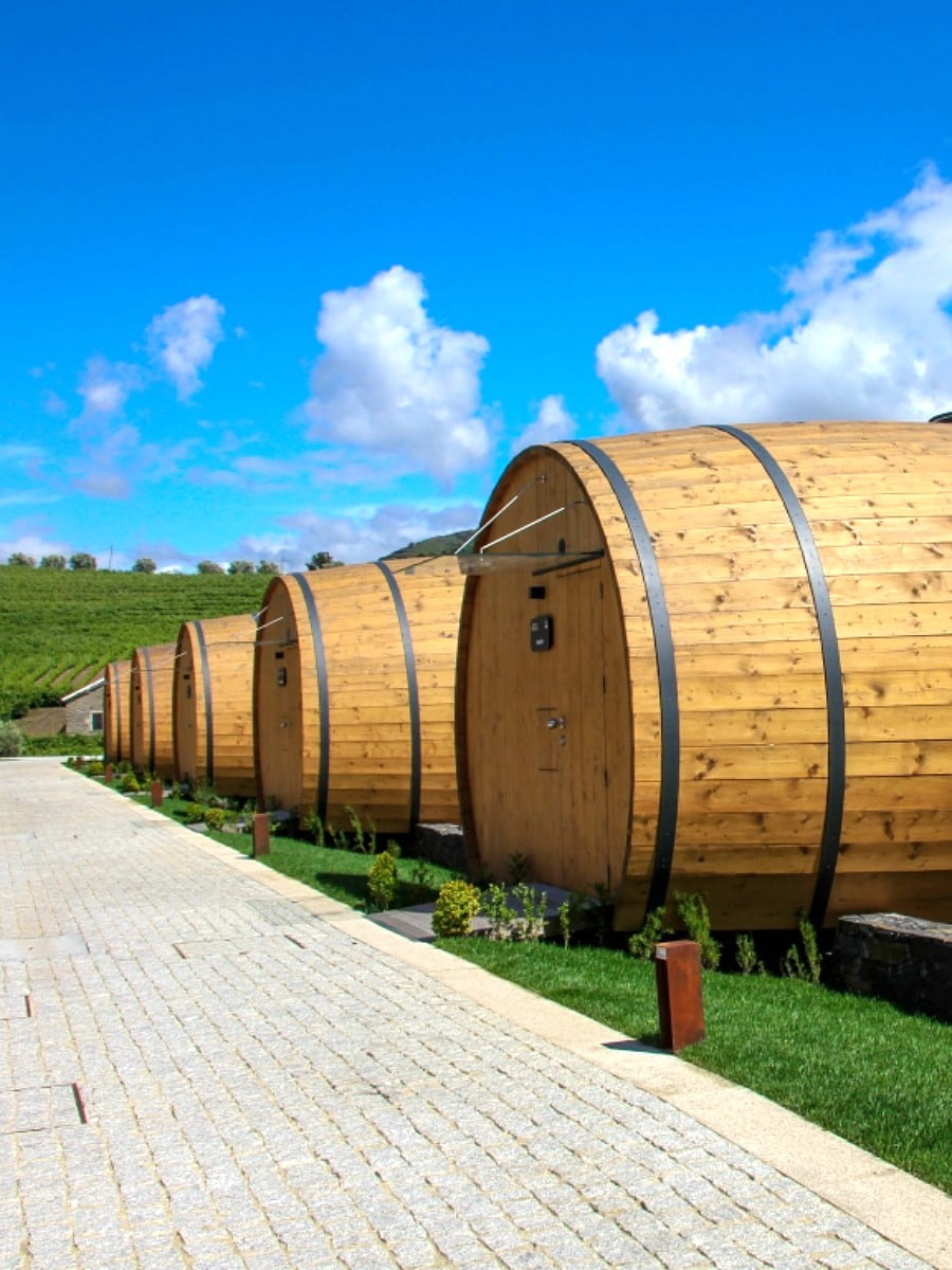 Wine Harvest, Laganas