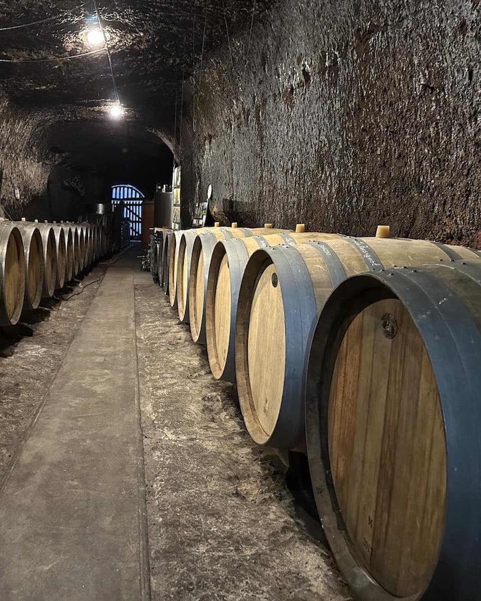 Wine Tasting, Loire Valley Wine Tasting, Loire Valley