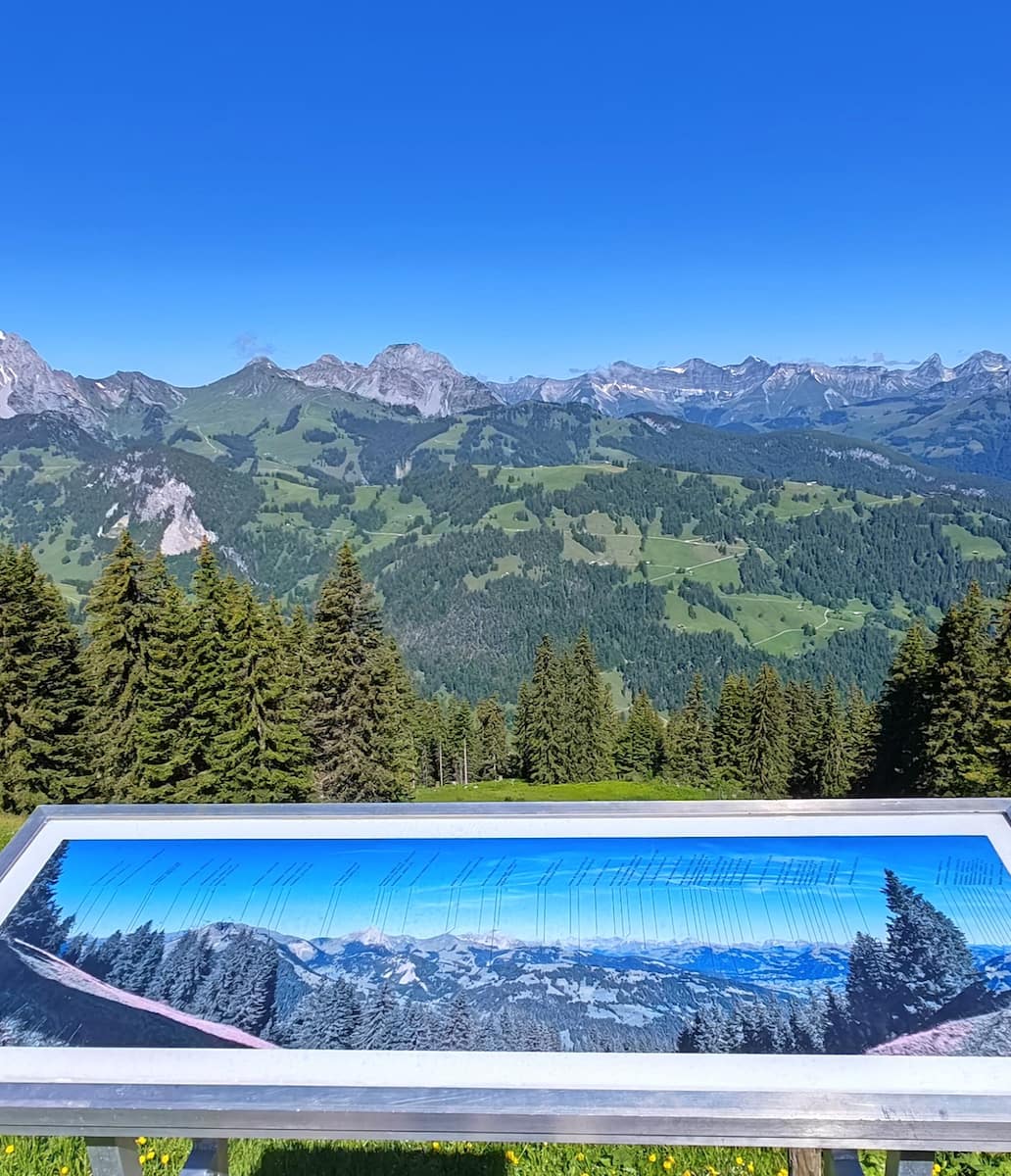Wispile Mountain Gstaad Wispile Mountain Gstaad