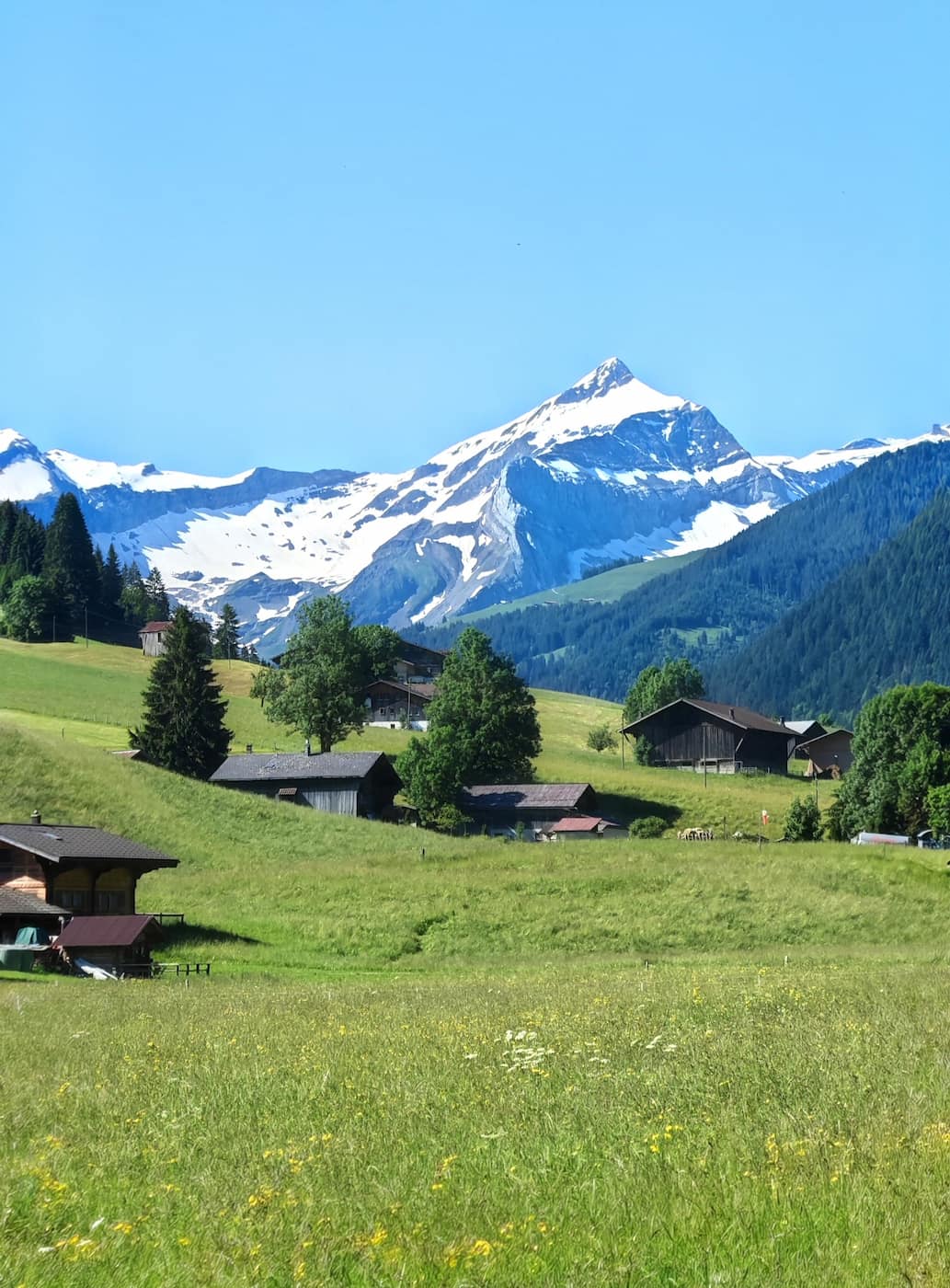 Wispile Mountain Gstaad Wispile Mountain Gstaad