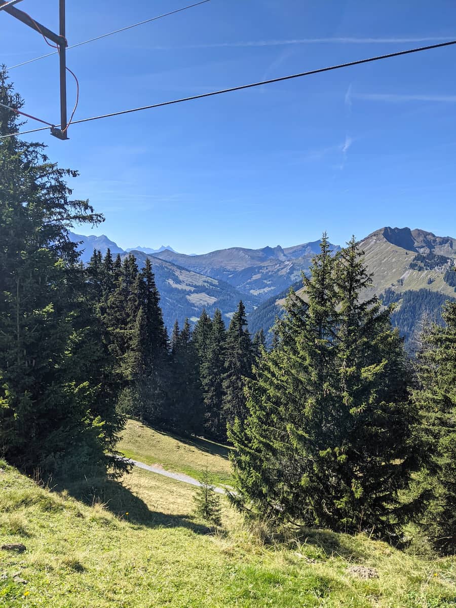 Wispile Mountain Gstaad Wispile Mountain Gstaad