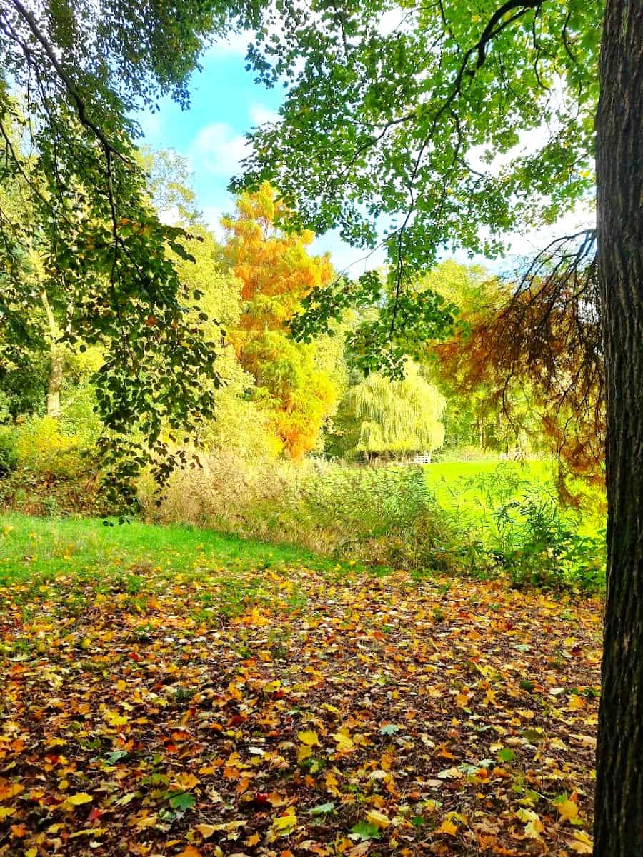 Zandhove Nature Reserve, Zwolle