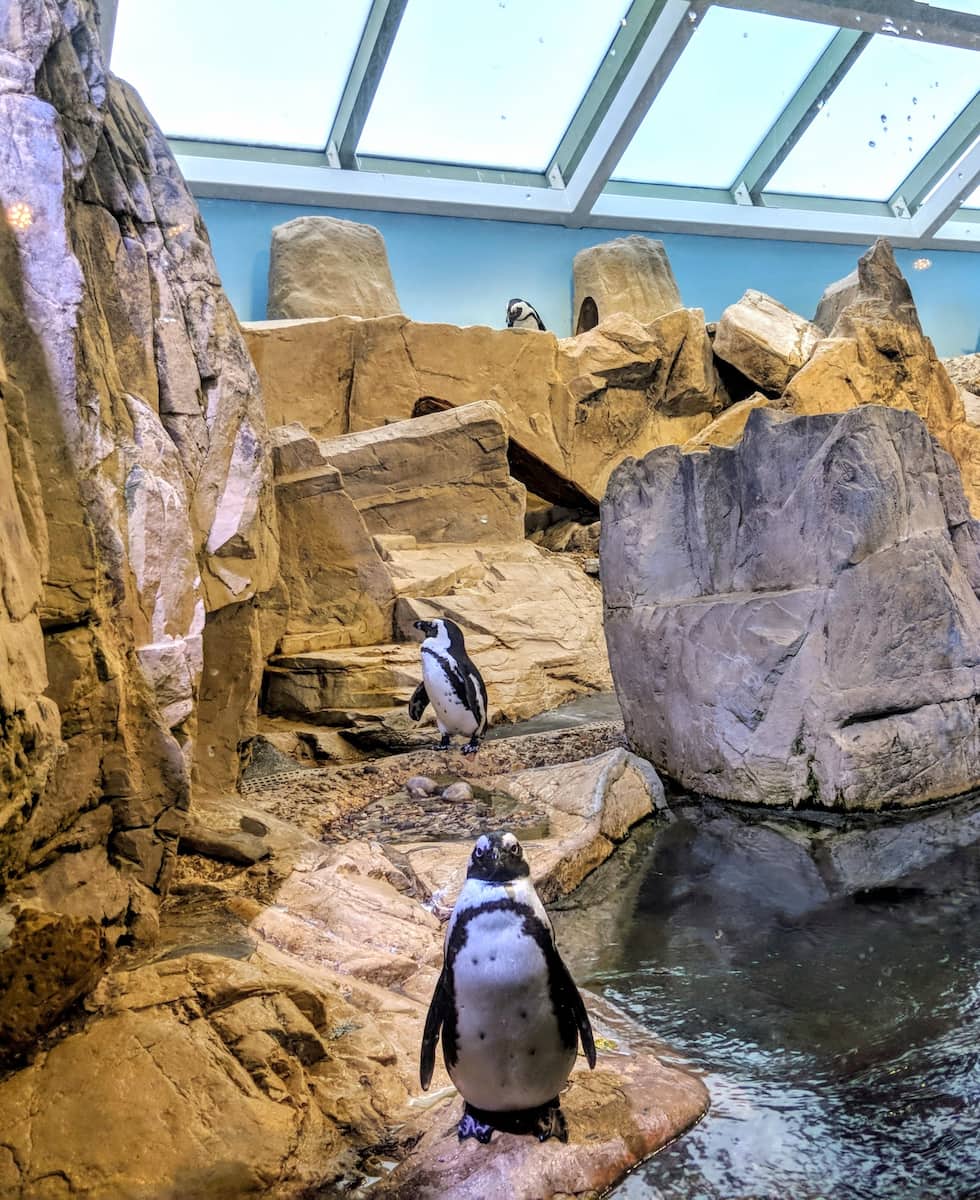 Audubon Aquarium, New Orleans Audubon Aquarium, New Orleans