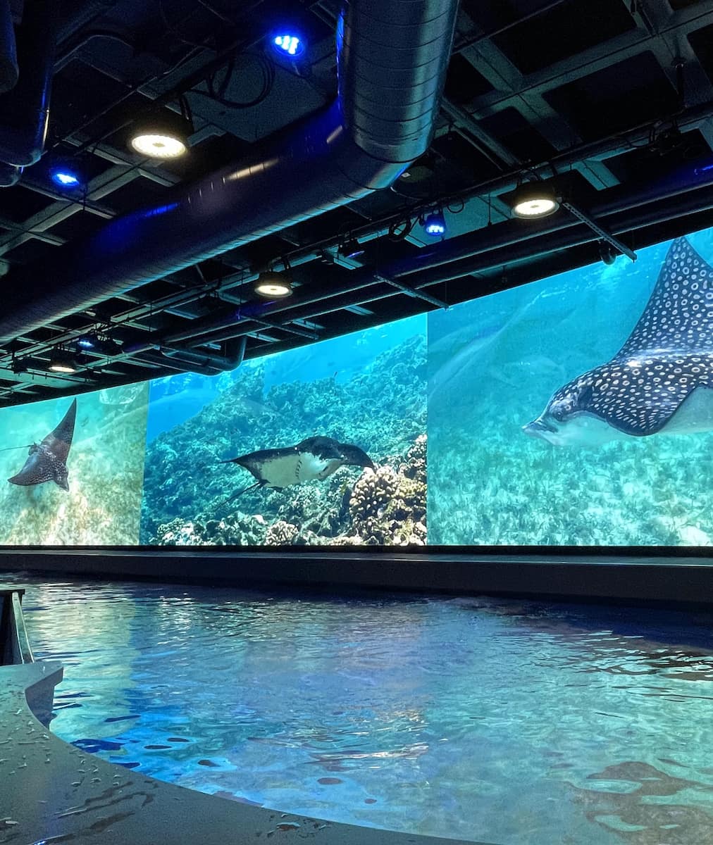 Audubon Aquarium, New Orleans Audubon Aquarium, New Orleans