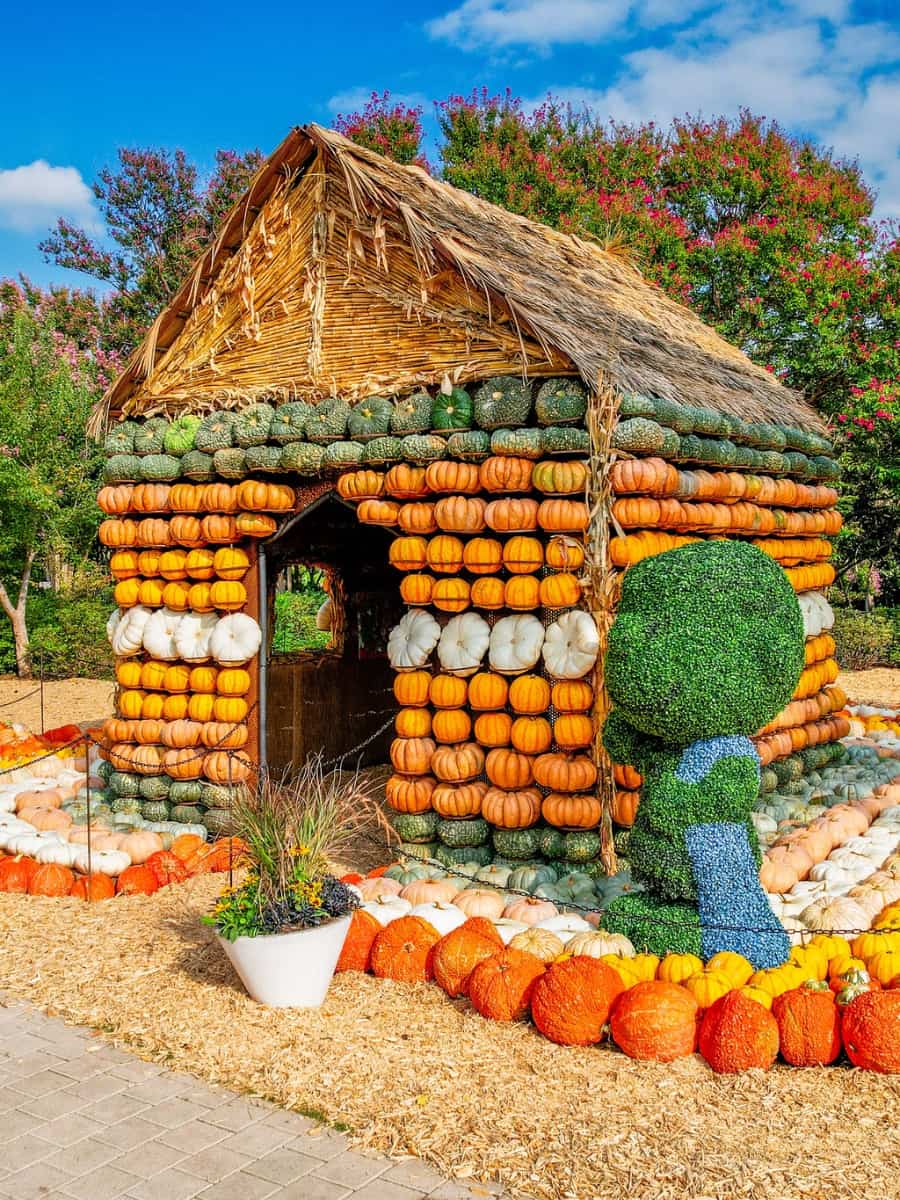 Autumn in Dallas Arboretum, Dallas Autumn in Dallas Arboretum, Dallas