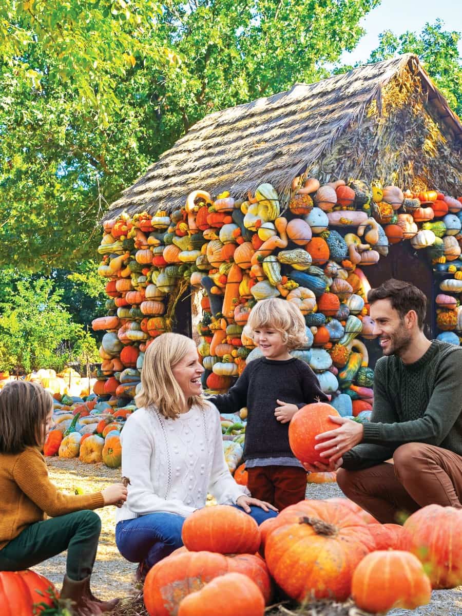 Autumn in Dallas Arboretum, Dallas Autumn in Dallas Arboretum, Dallas