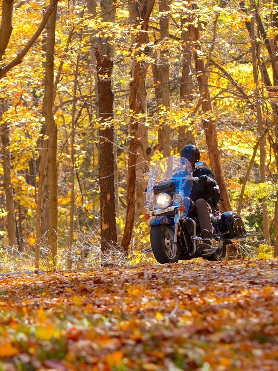 Autumn in Eagle Park, Indianapolis
