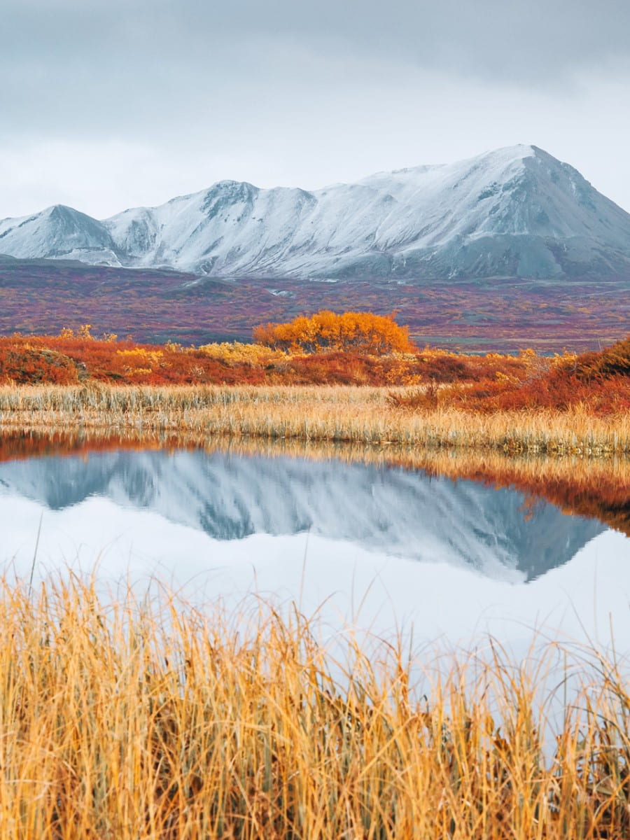 Autumn in Höfn