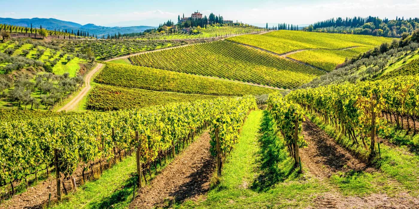 Autumn in Skopelos Autumn in Skopelos