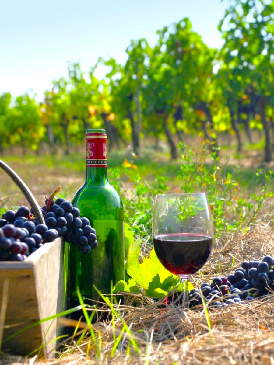 Autumn in Thassos Autumn in Thassos