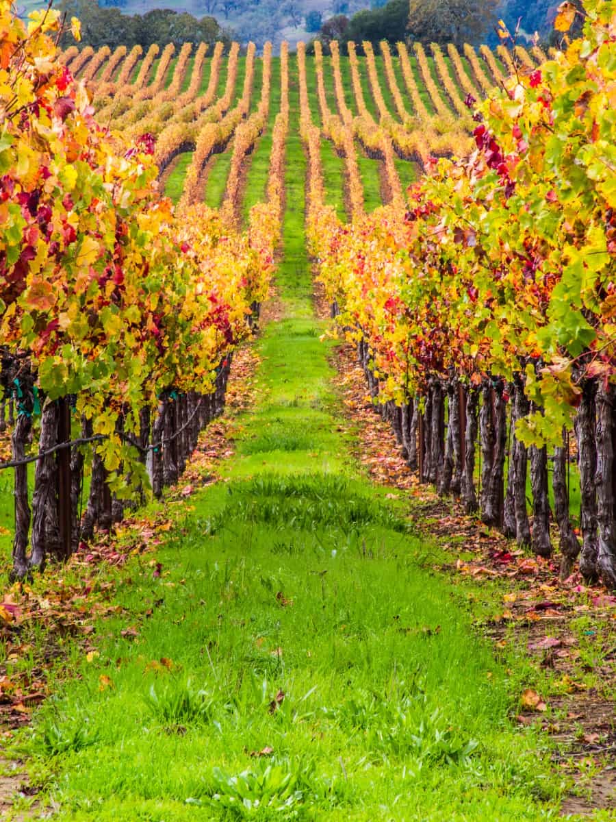 Autumn in Thassos Autumn in Thassos