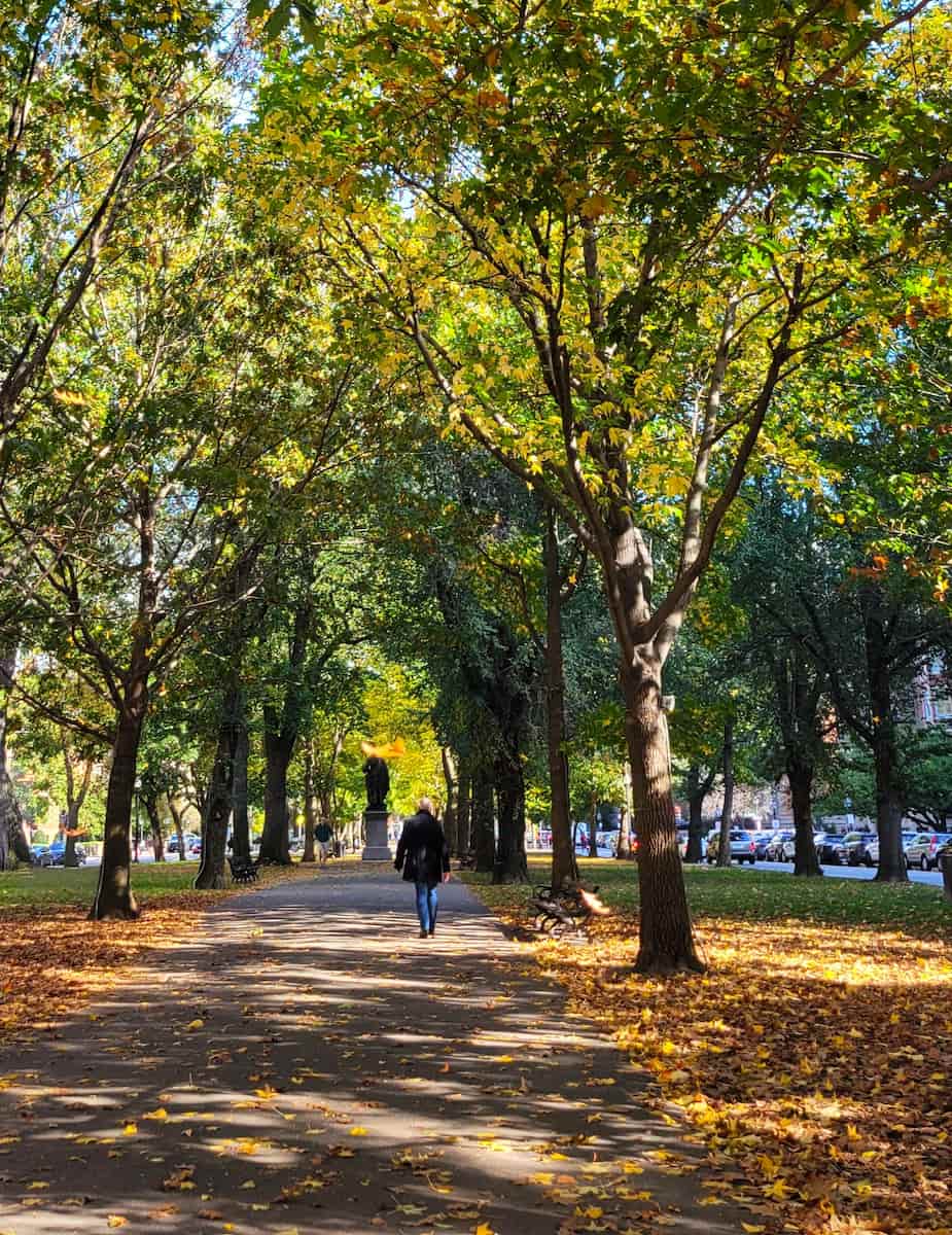 Autumn in Boston Autumn in Boston