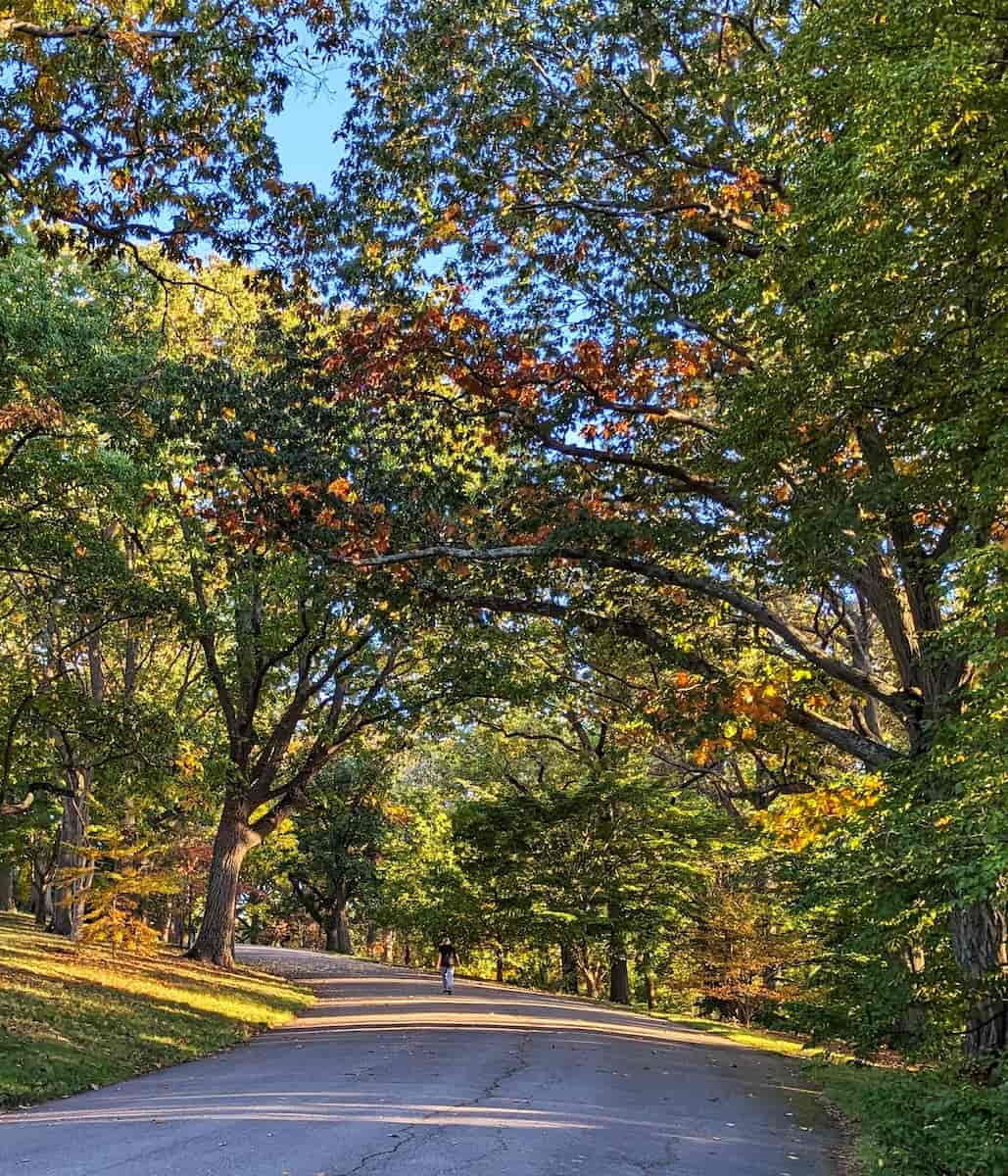 Autumn in Boston Autumn in Boston