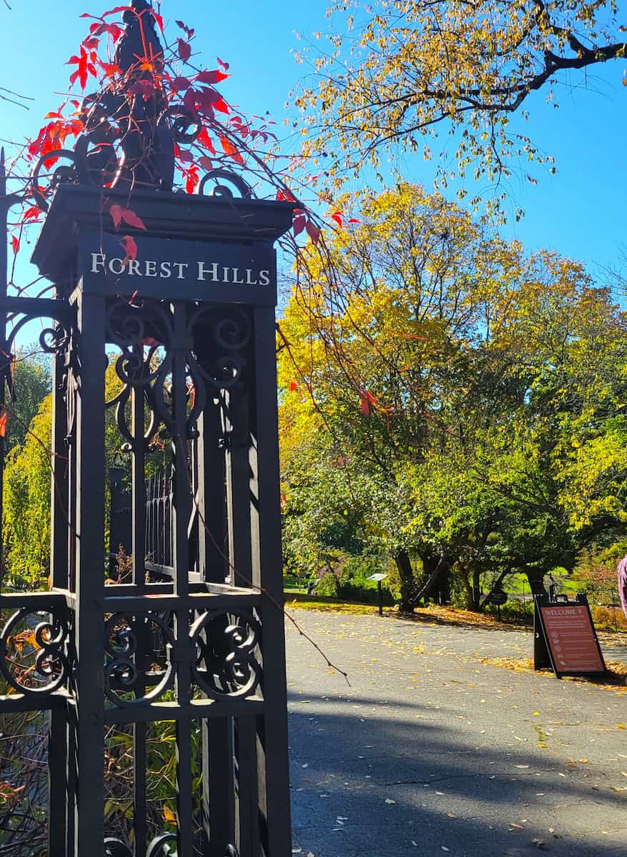 Autumn in Boston Autumn in Boston