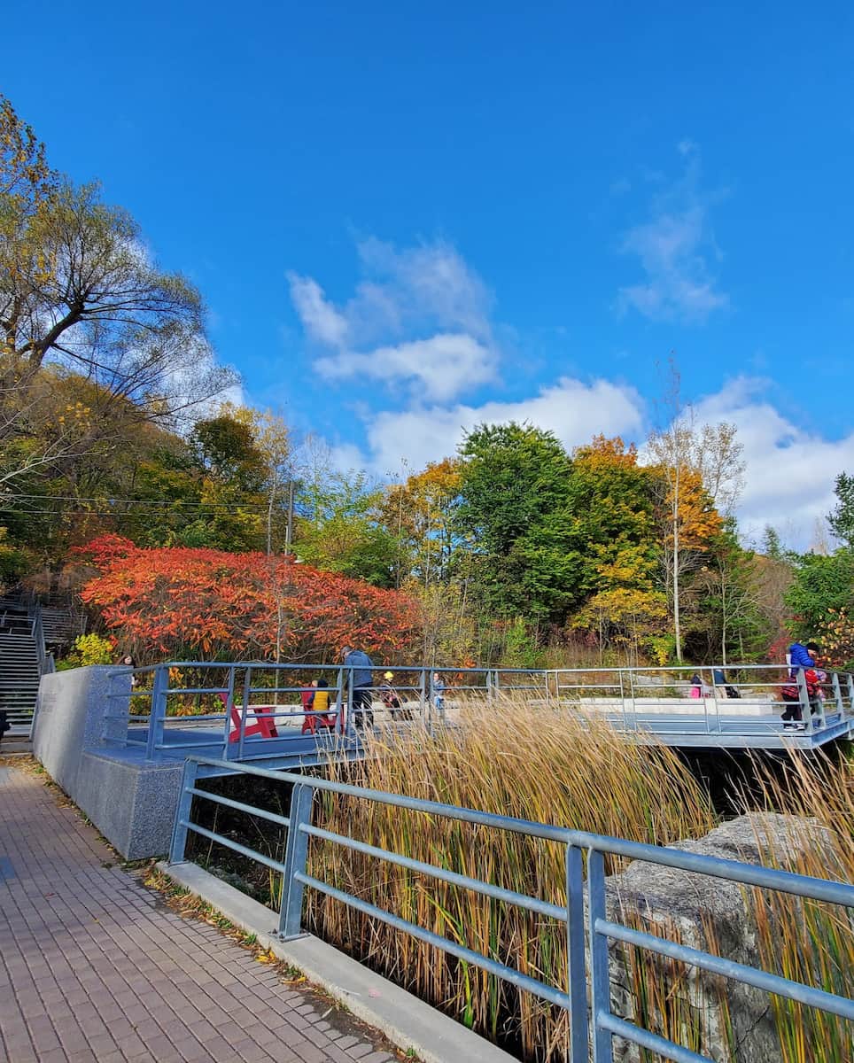 Autumn in Toronto Autumn in Toronto