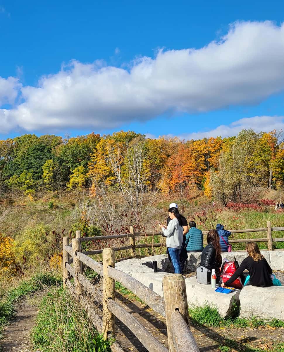 Autumn in Toronto Autumn in Toronto