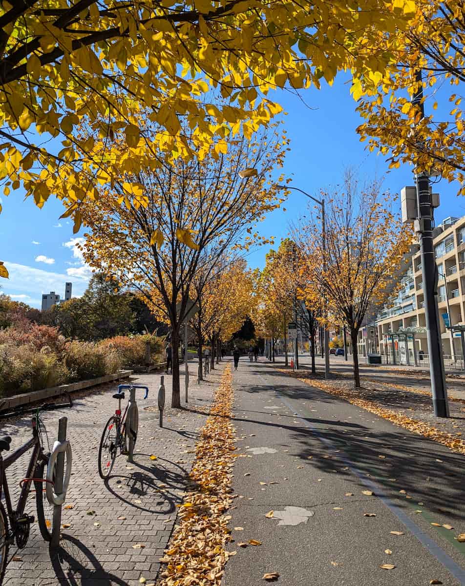 Autumn in Toronto Autumn in Toronto