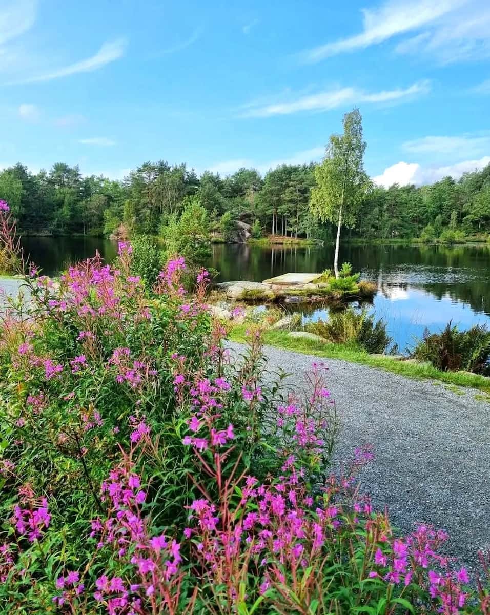 Baneheia Trails, Kristiansand