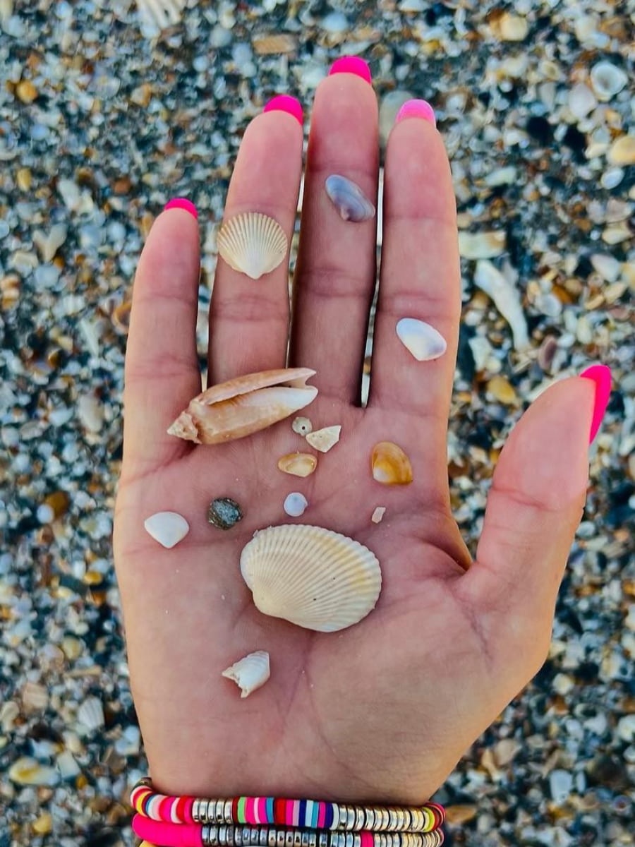 Beachcombing, Myrtle Beach, SC Beachcombing, Myrtle Beach, SC