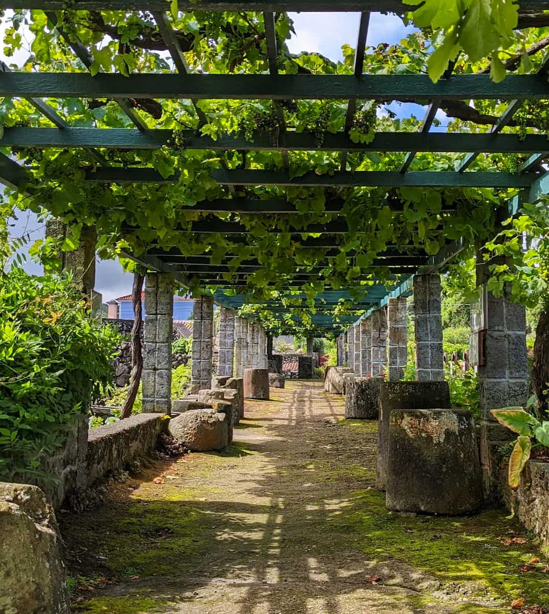 Biscoitos Wine Museum, Portugal