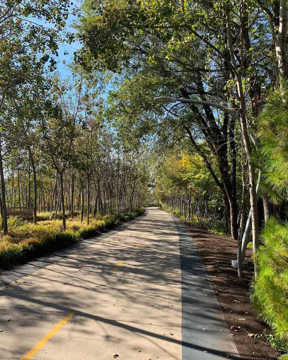 Bloomingdale Trail, Chicago Bloomingdale Trail, Chicago