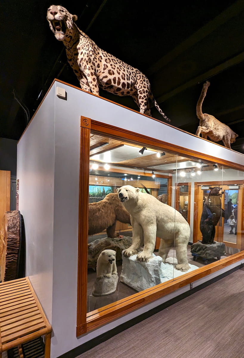 Boston Science Museum Boston Science Museum