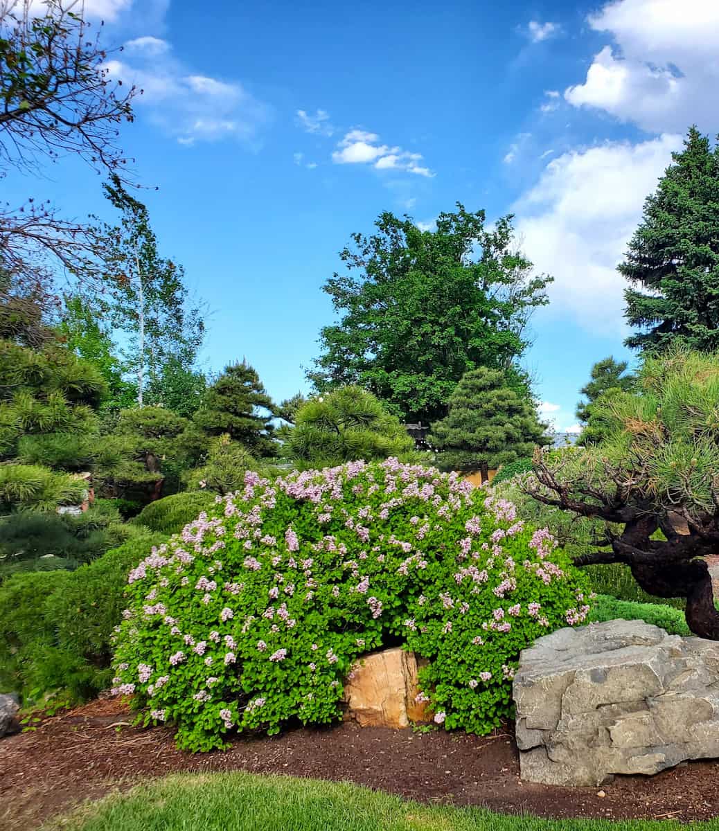 Botanic Gardens, Denver Botanic Gardens, Denver