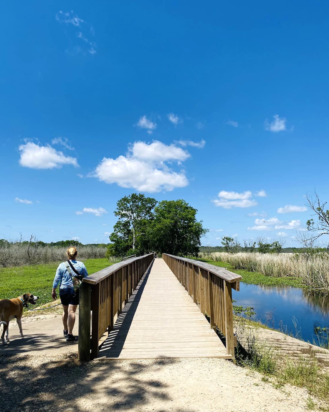 Brazos Bend State Park Texas Brazos Bend State Park Texas