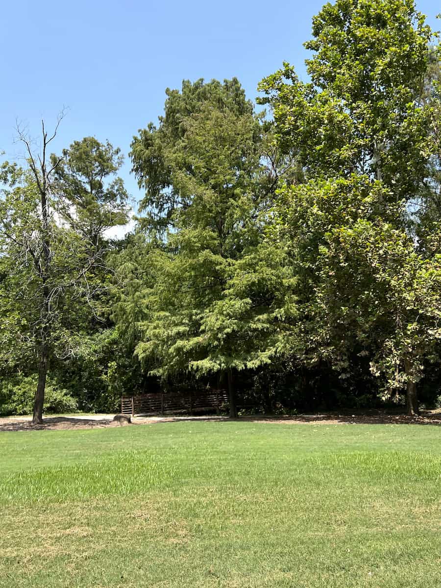 Buffalo Bayou Hike Houston Buffalo Bayou Hike Houston