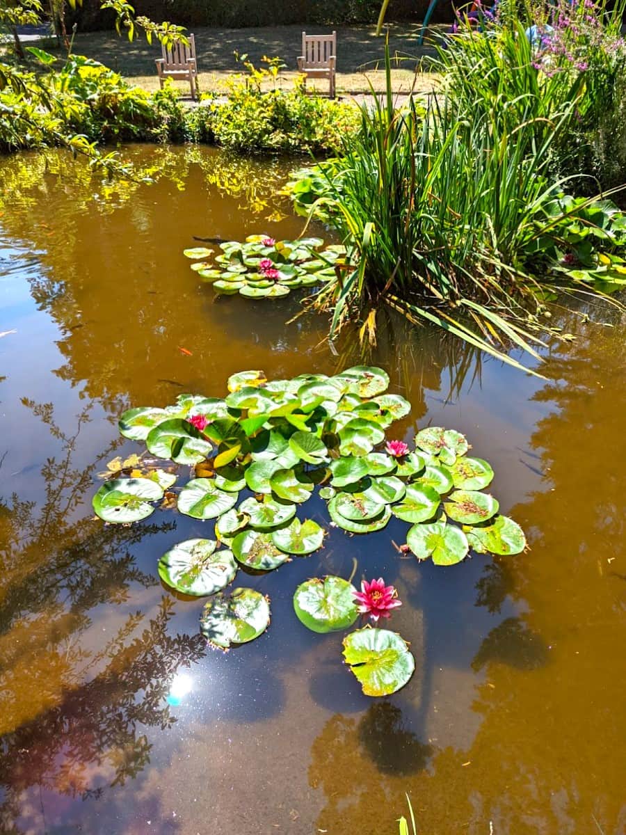 Caen Botanical Garden, Caen Caen Botanical Garden, Caen