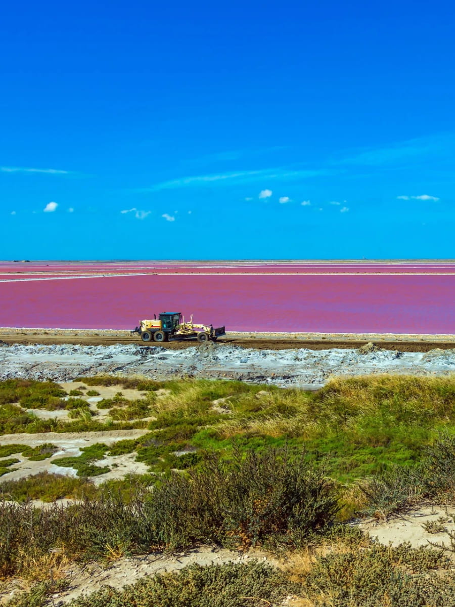Camargue National Park, Arles Camargue National Park, Arles