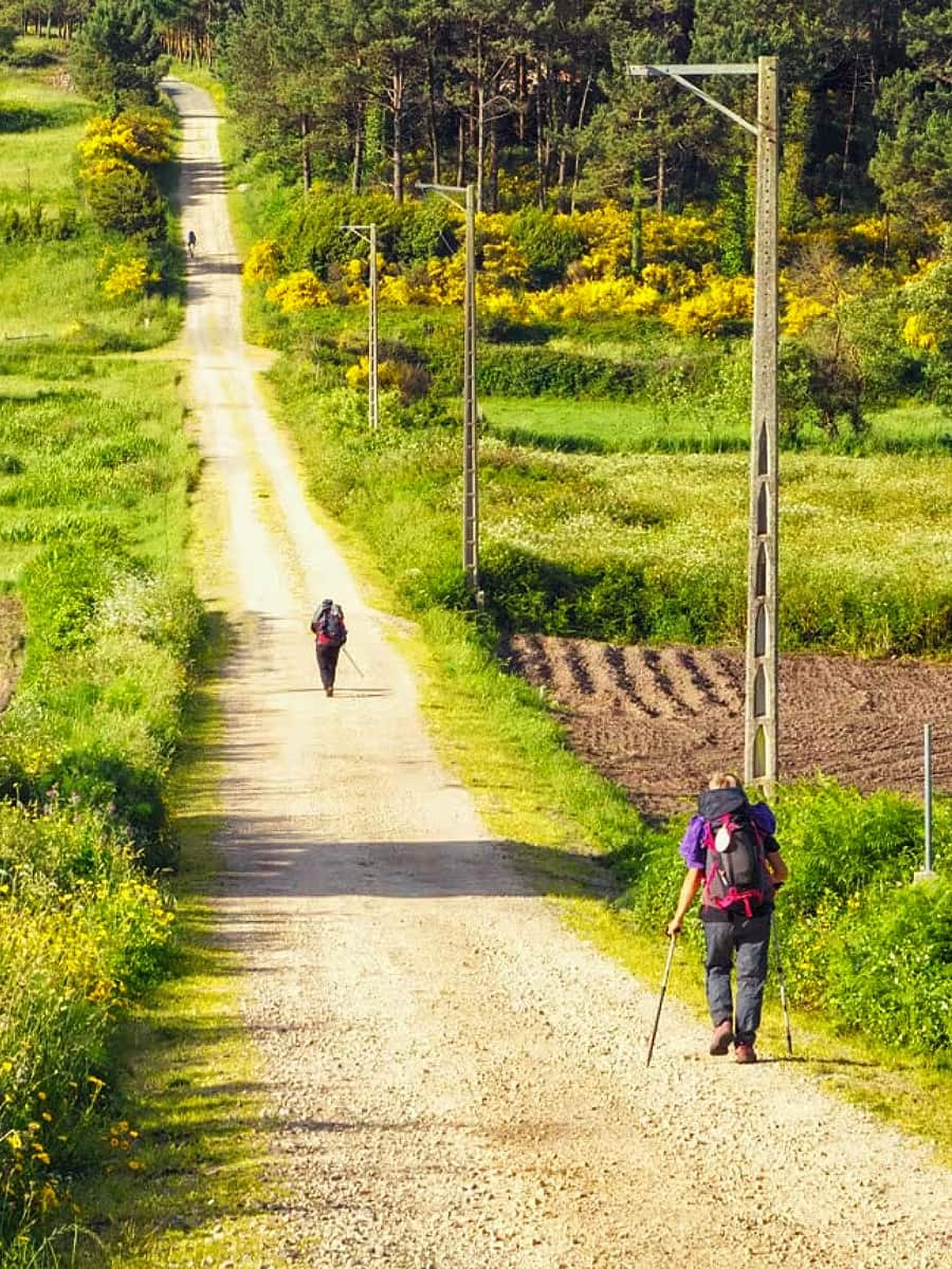 Camino de Santiago, Galicia