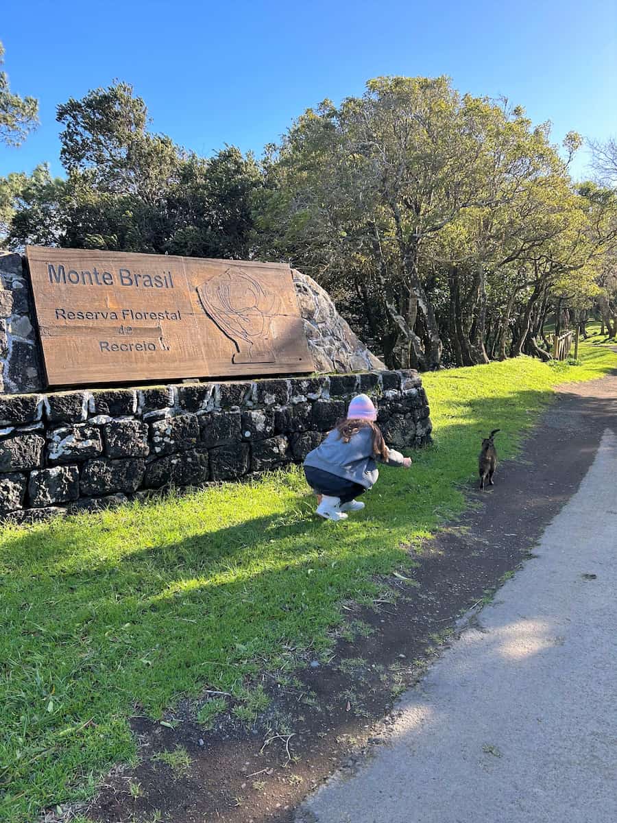Cat Sanctuary Monte Brasil