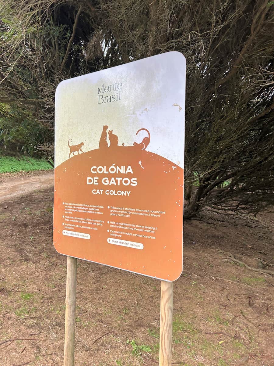 Cat Sanctuary Monte Brasil