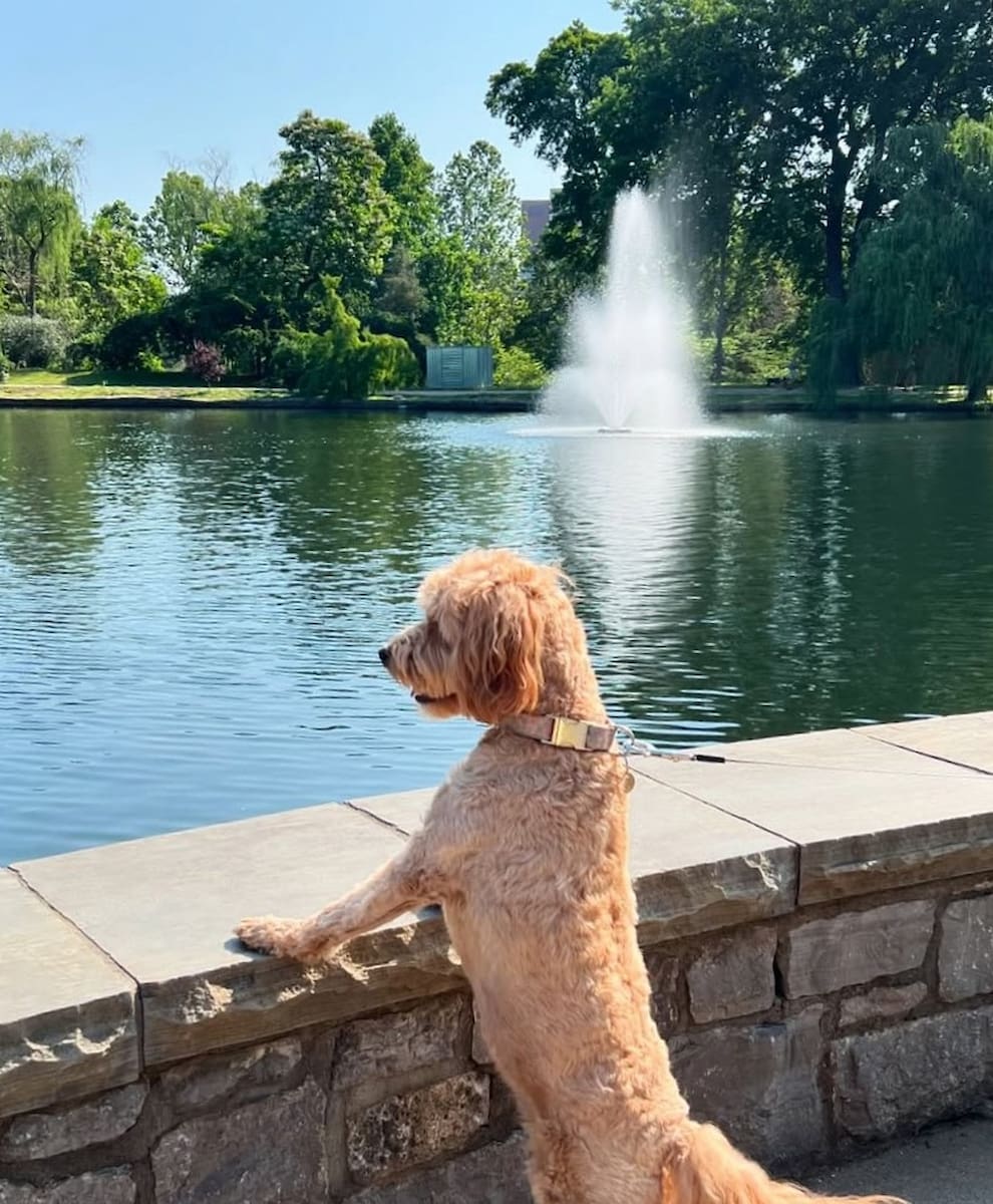Centennial Park, Tampa Centennial Park, Tampa