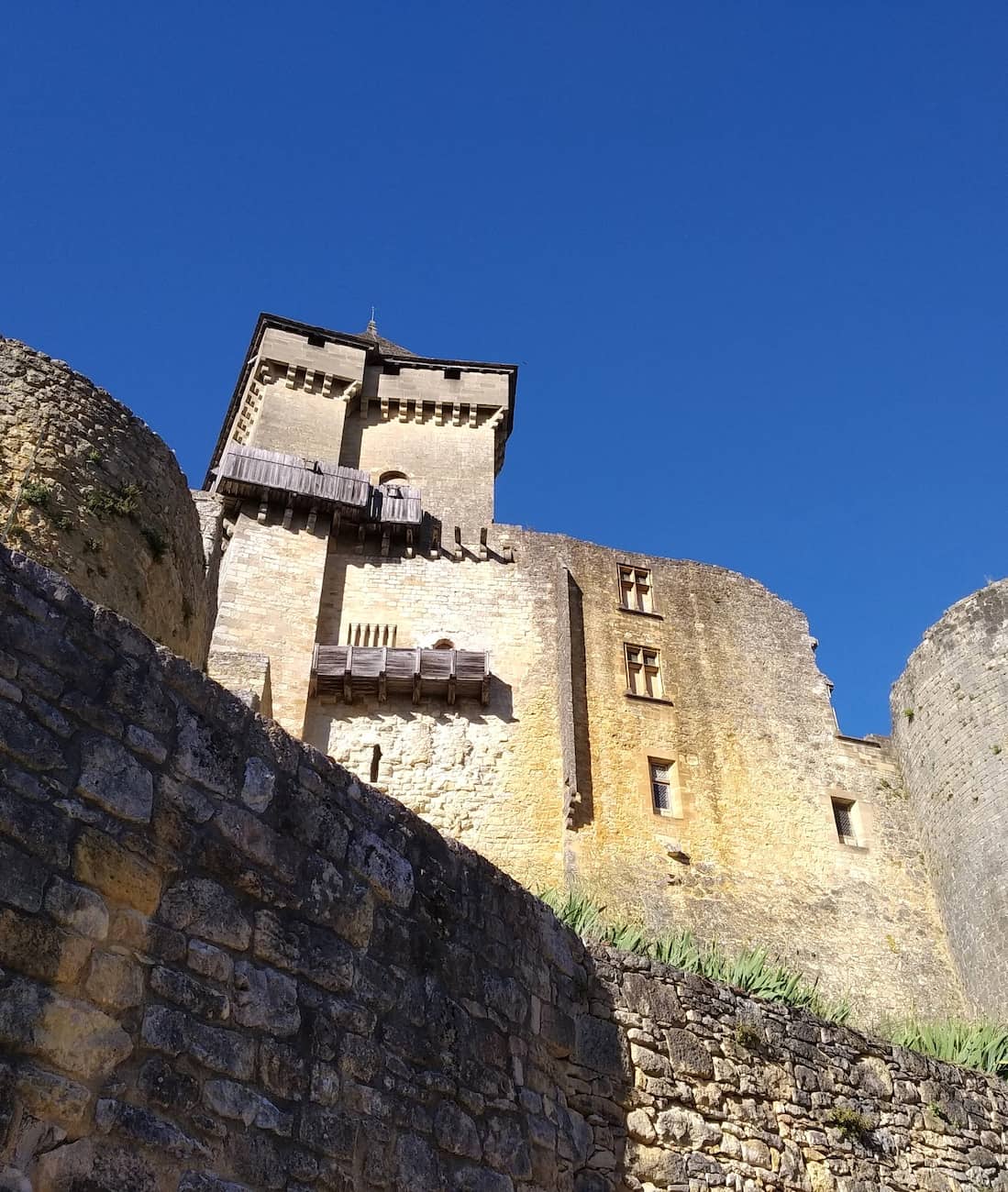 Château de Castelnaud Dordogne