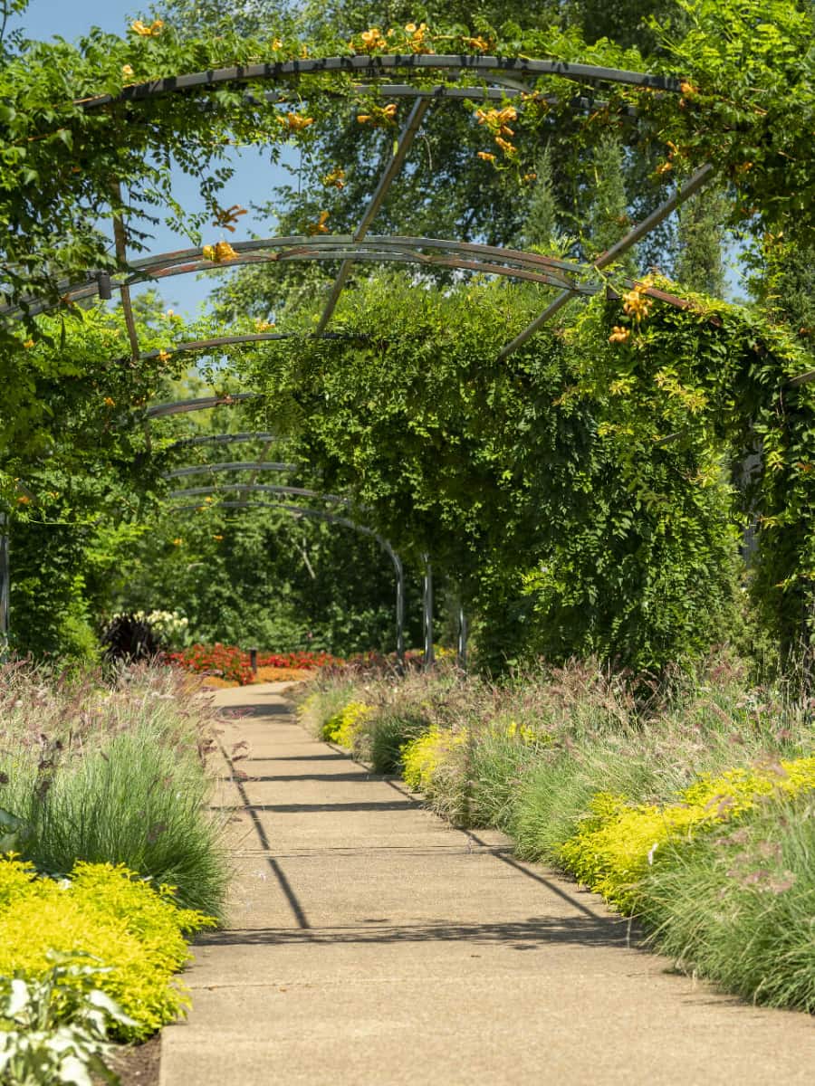 Cheekwood Estate and Gardens, Nashville
