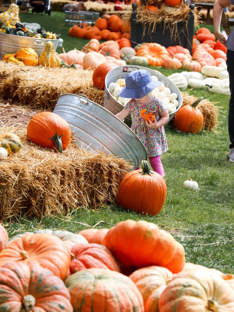 Cheekwood, Nashville