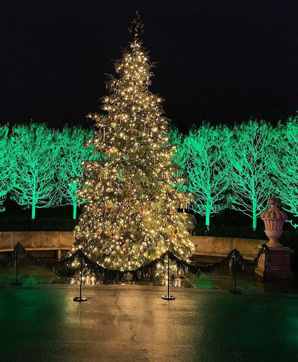 Christmas in Chicago Christmas in Chicago