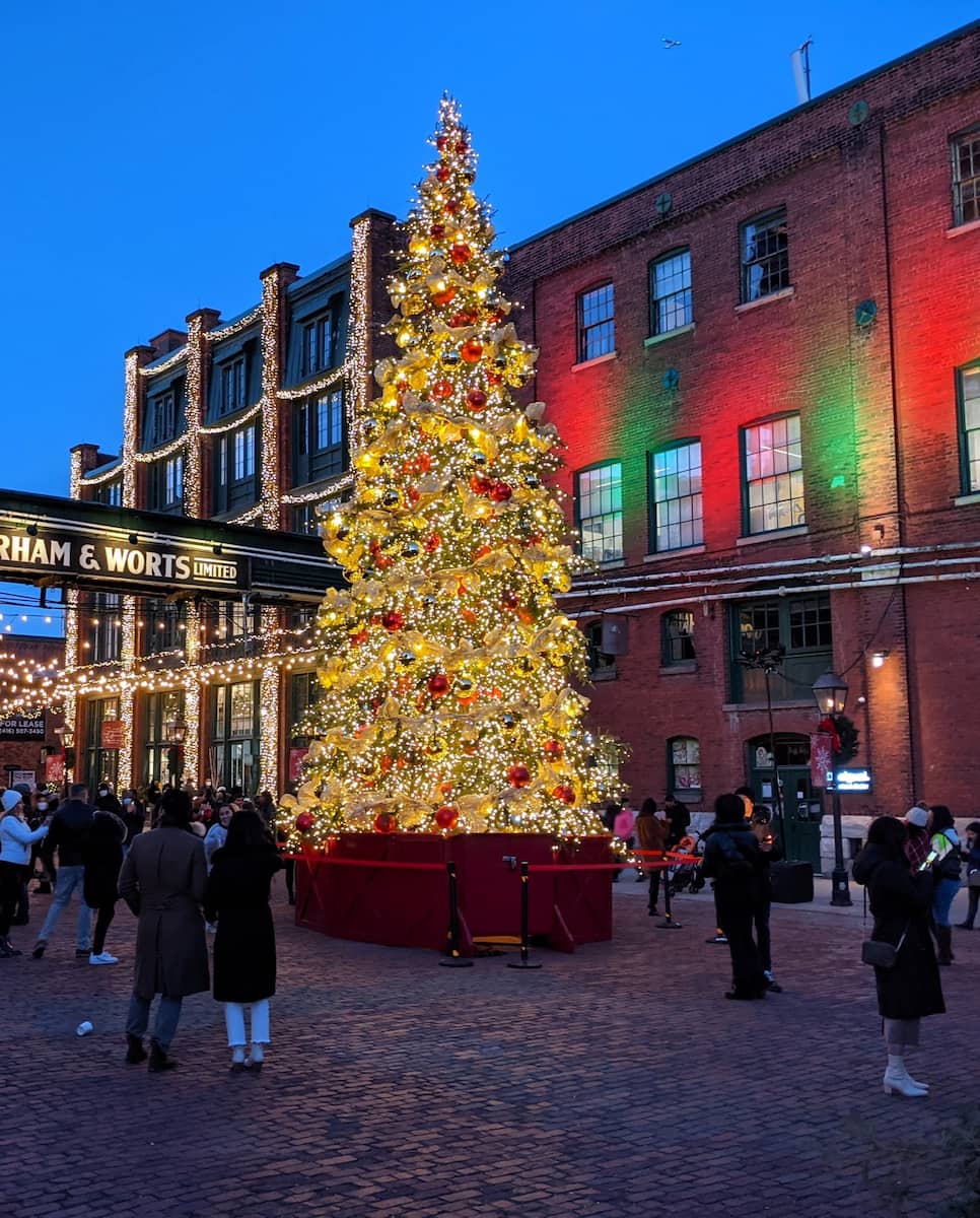 Christmas in Toronto Christmas in Toronto