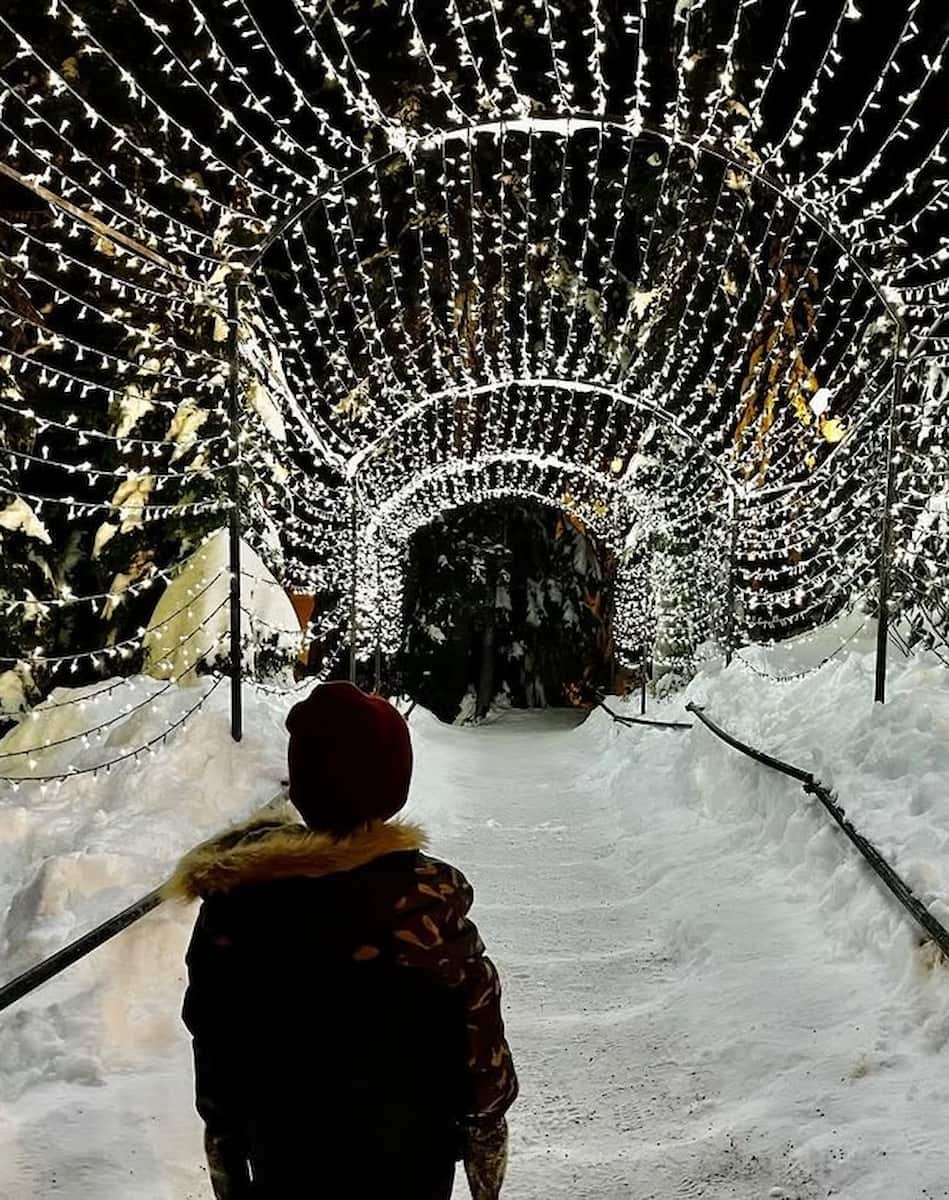 Christmas in Vancouver Christmas in Vancouver