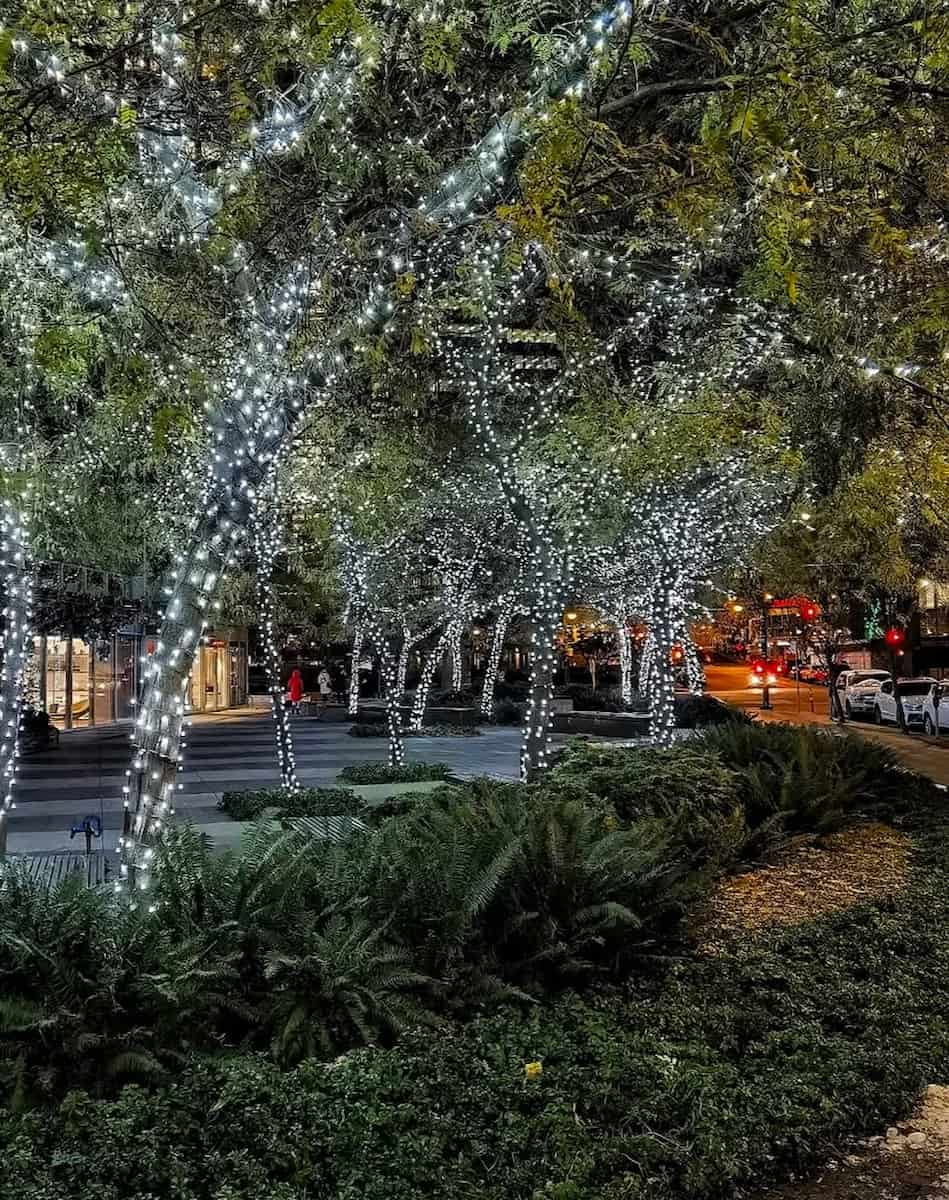 Christmas in Vancouver Christmas in Vancouver