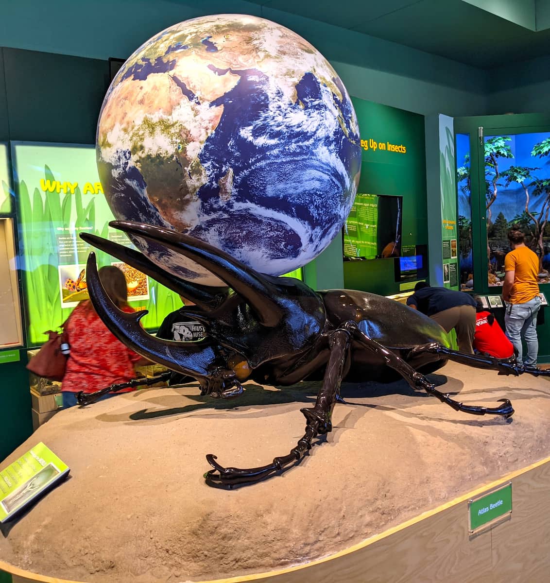 Cockrell Butterfly Center Houston 2 Cockrell Butterfly Center Houston 2