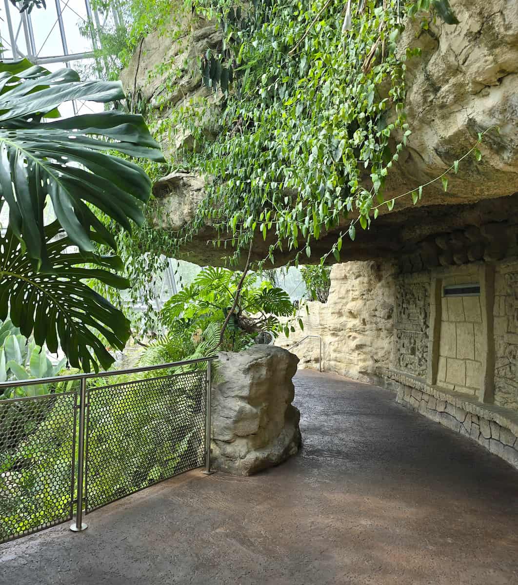 Cockrell Butterfly Center Houston 3 Cockrell Butterfly Center Houston 3