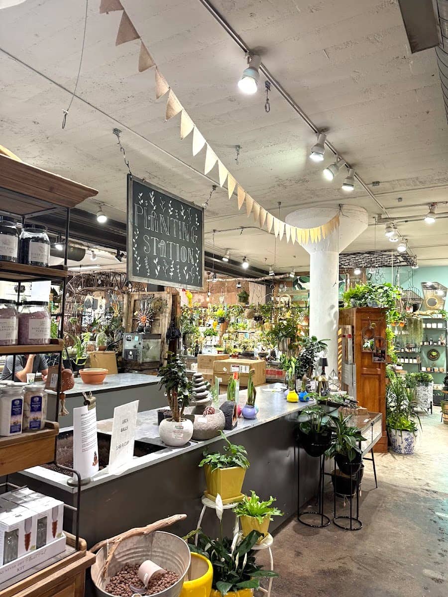 Dallas Farmers Market, Dallas Dallas Farmers Market, Dallas