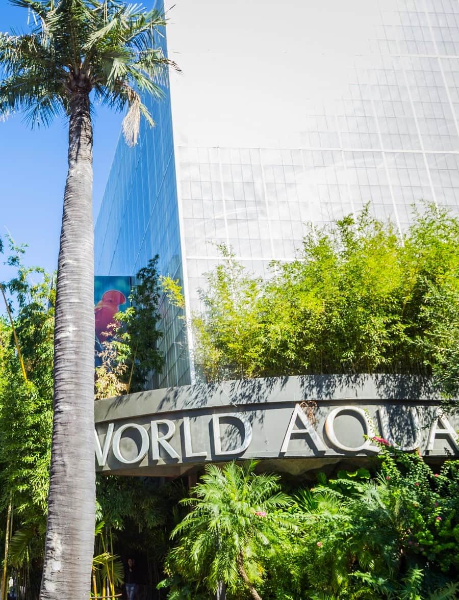 Dallas World Aquarium, Dallas Dallas World Aquarium, Dallas