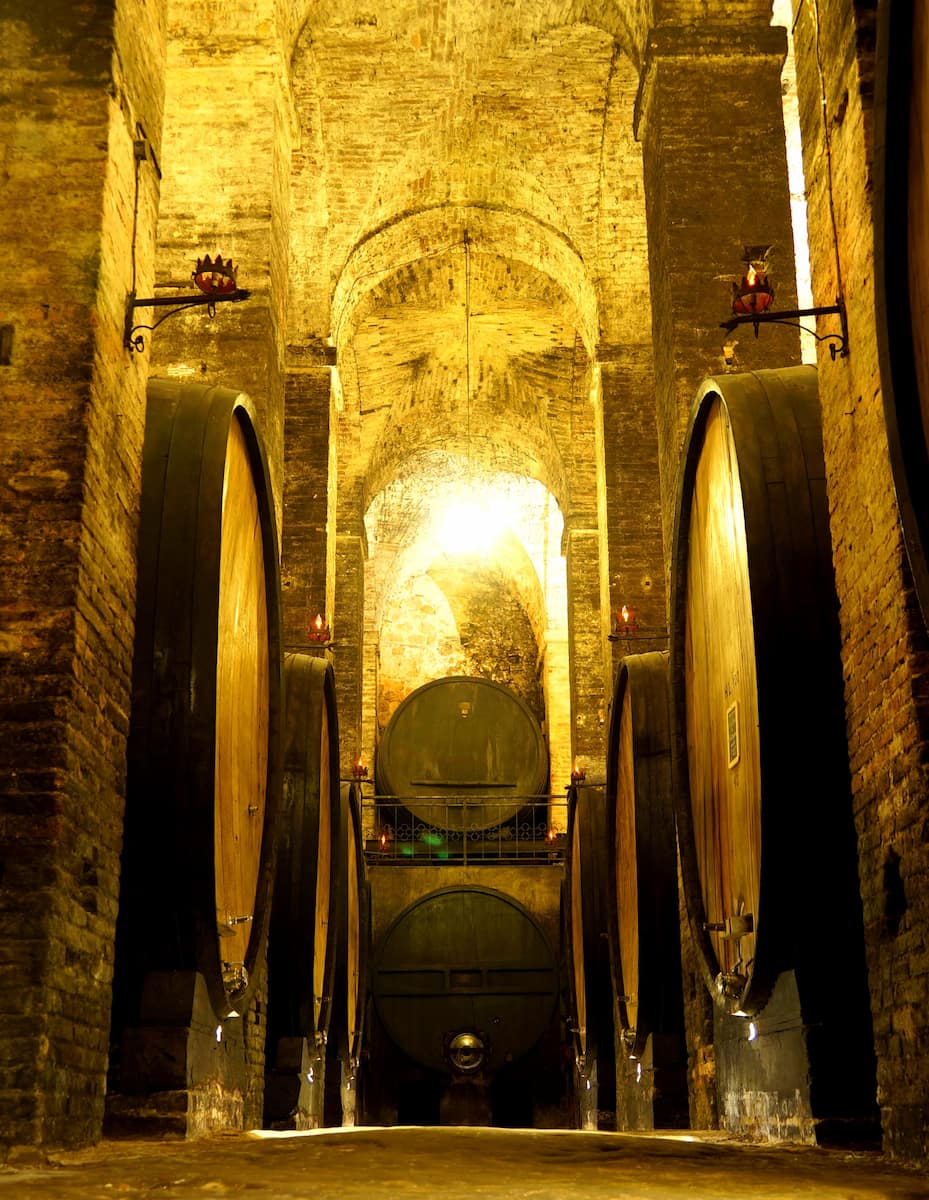 Deā Ricci Cantine Storiche in Montepulciano Deā Ricci Cantine Storiche in Montepulciano